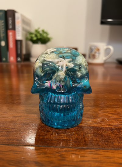 Resin Coastal Skull