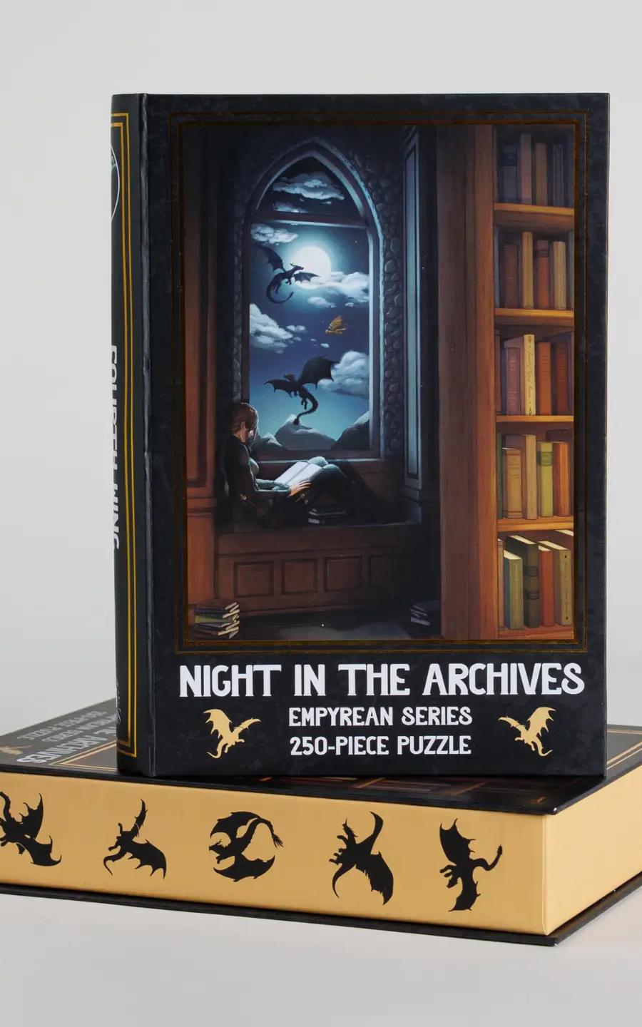 Night in the Archives: 250 piece puzzle 