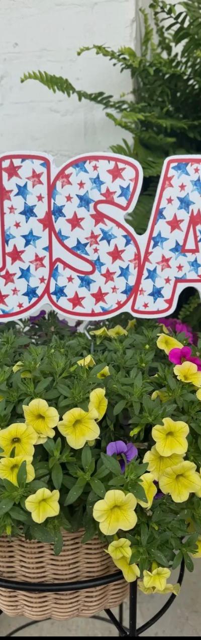 USA-STARS FLOWER POT DECOR