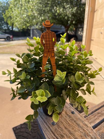 Wood Cowboy Plant Stake