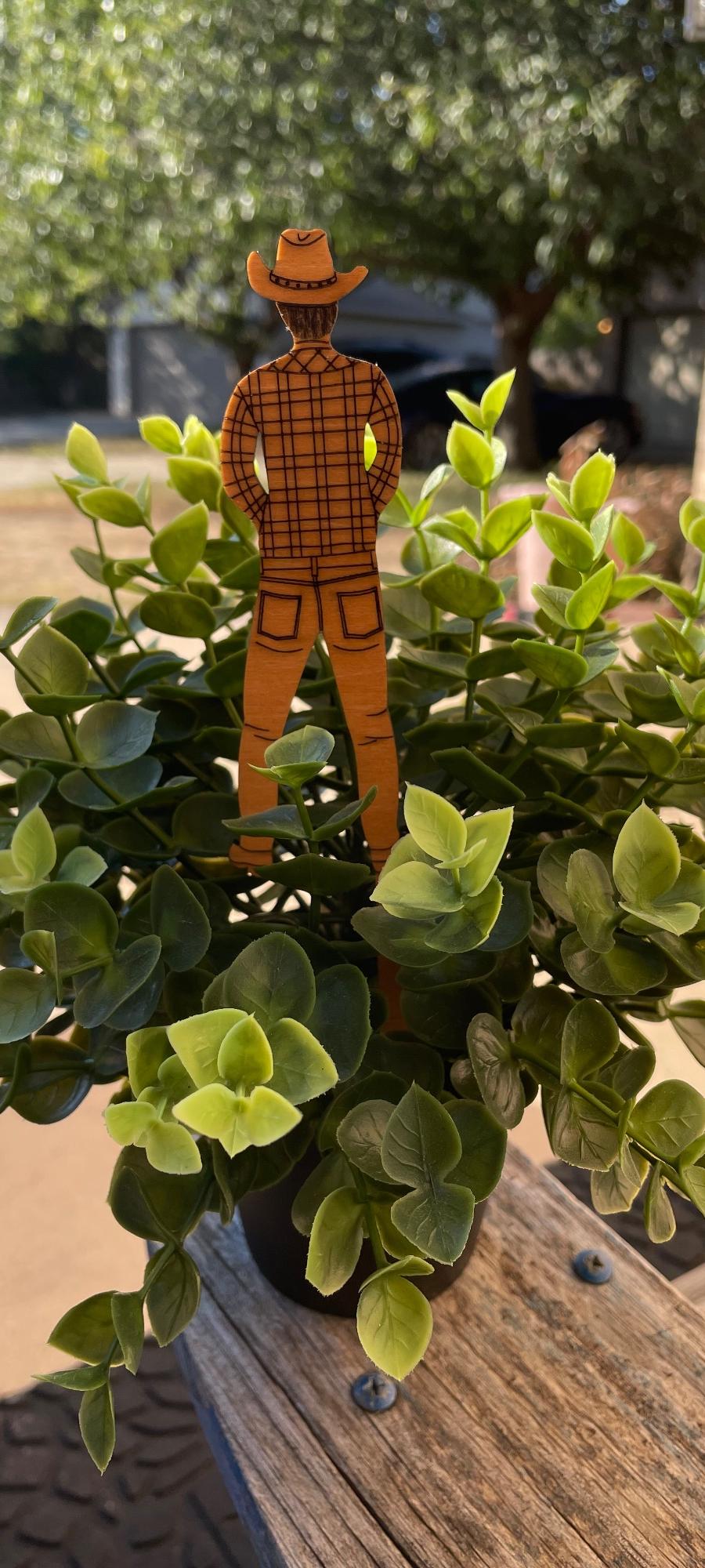 Wood Cowboy Plant Stake
