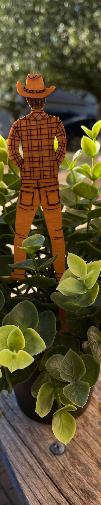 Wood Cowboy Plant Stake