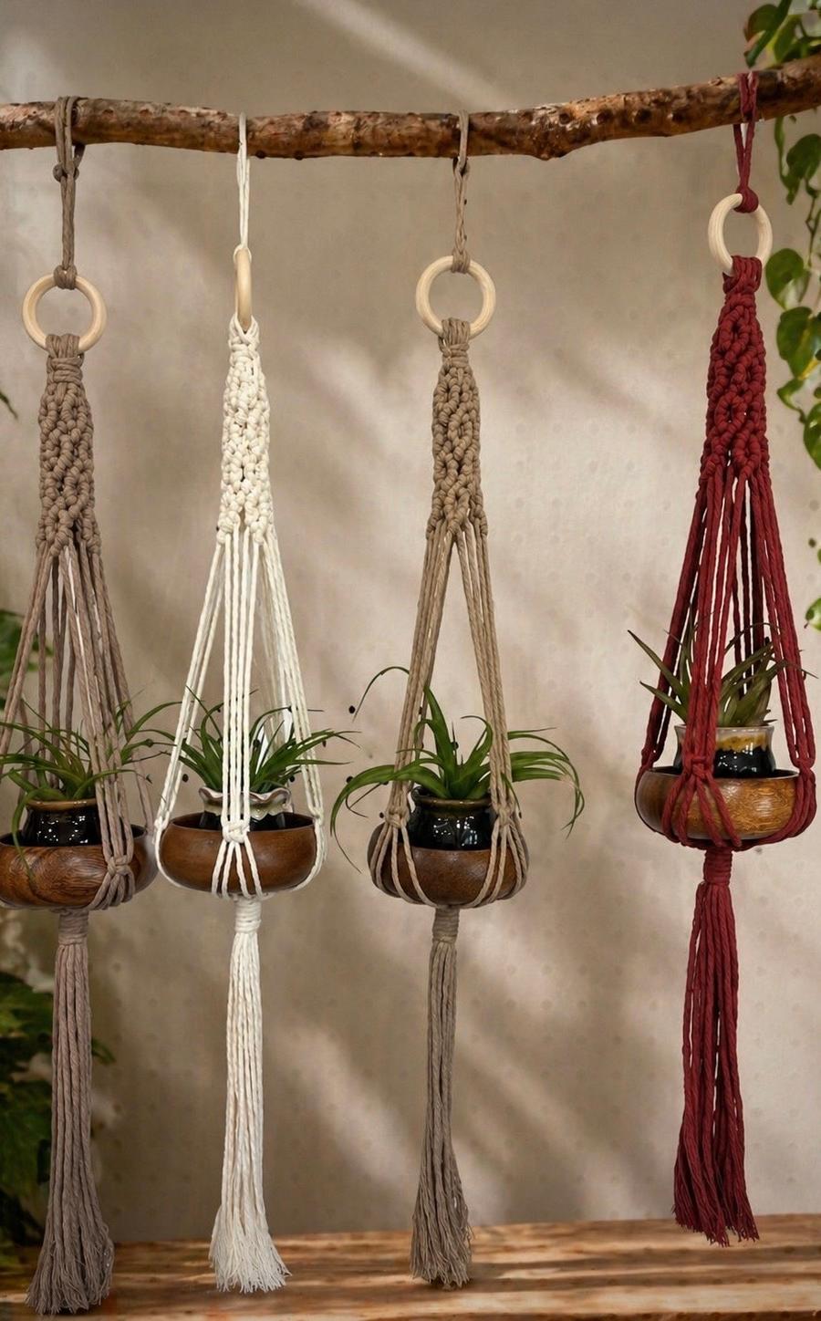 Air Plant Hanger - Wooden Bowl/Pot