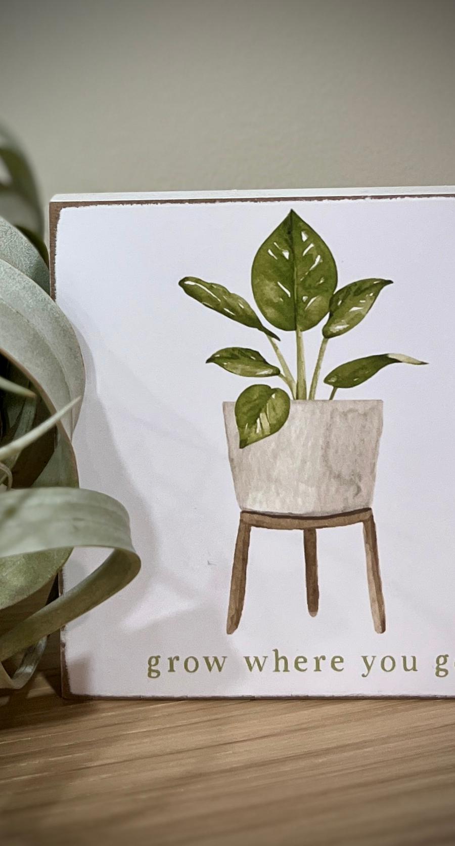 Plant Saying Plaques