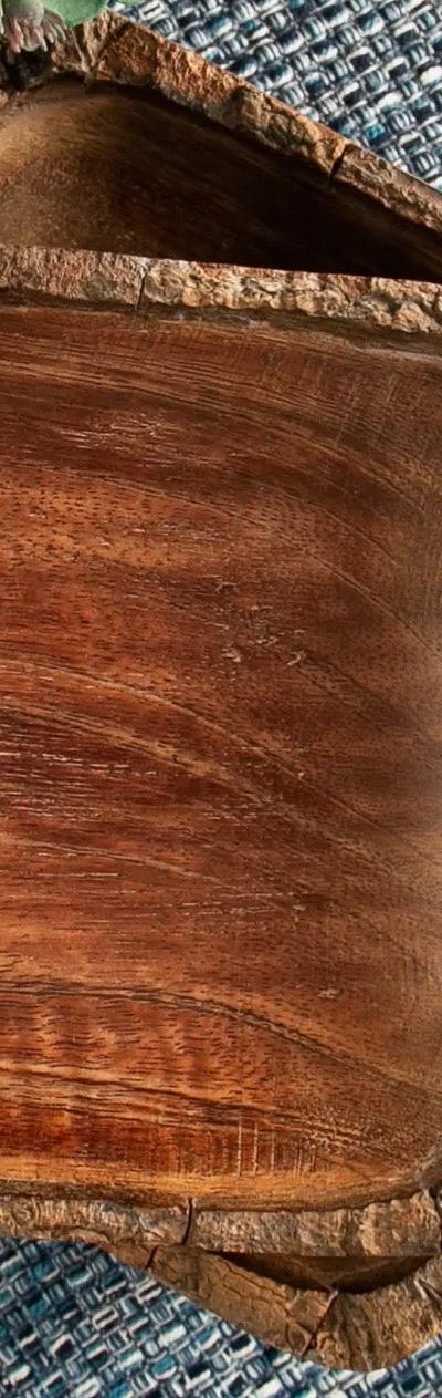 Rustic Mango Wood Bark Bowl