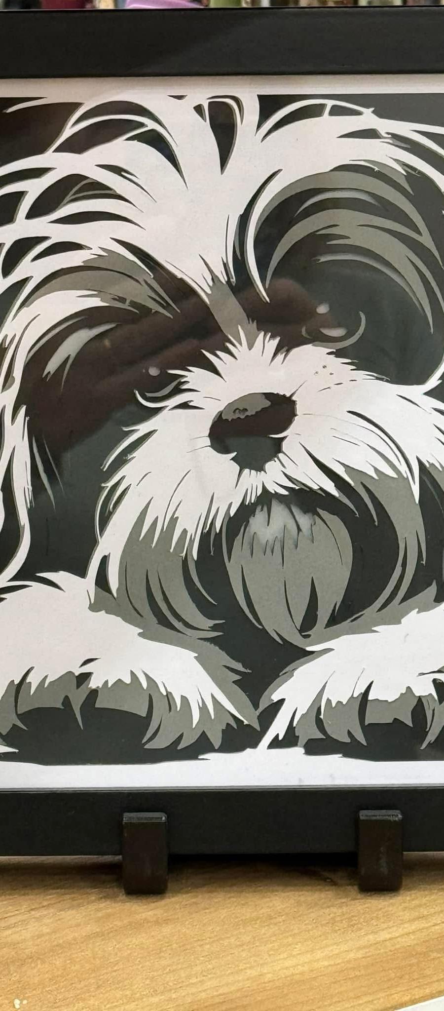 Shadowbox Dog
