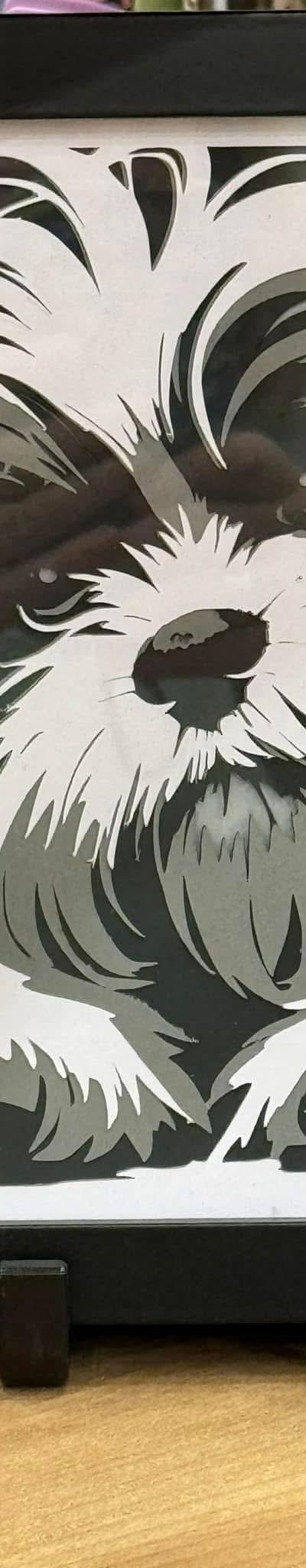 Shadowbox Dog