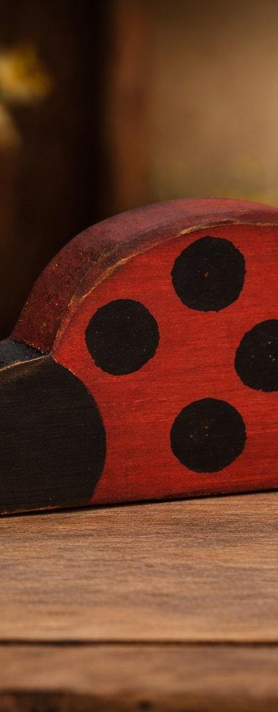 Weathered Lady Bug Shelf Sitter