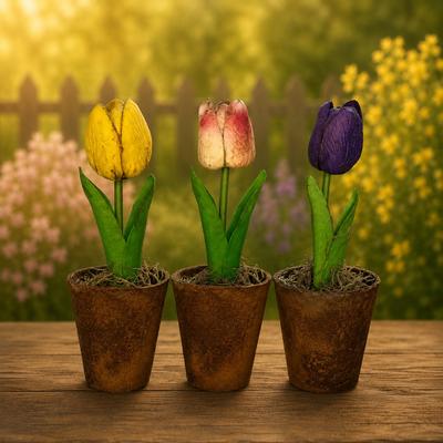 Real Feel Tulip in Grungy Peat Pot