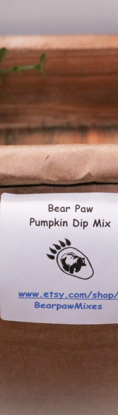 Pumpkin Spice Dip Mix