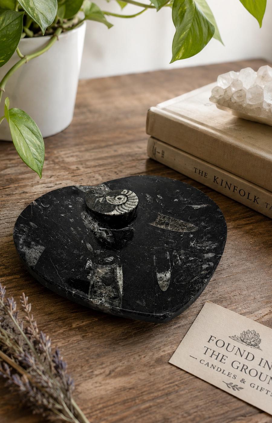 Heart Shaped Ammonite & Orthoceras Fossil Dish – 6.5” Fossil Trinket Tray – Stone Jewelry Dish – Fossil Key Holder – Natural Fossil Home Decor