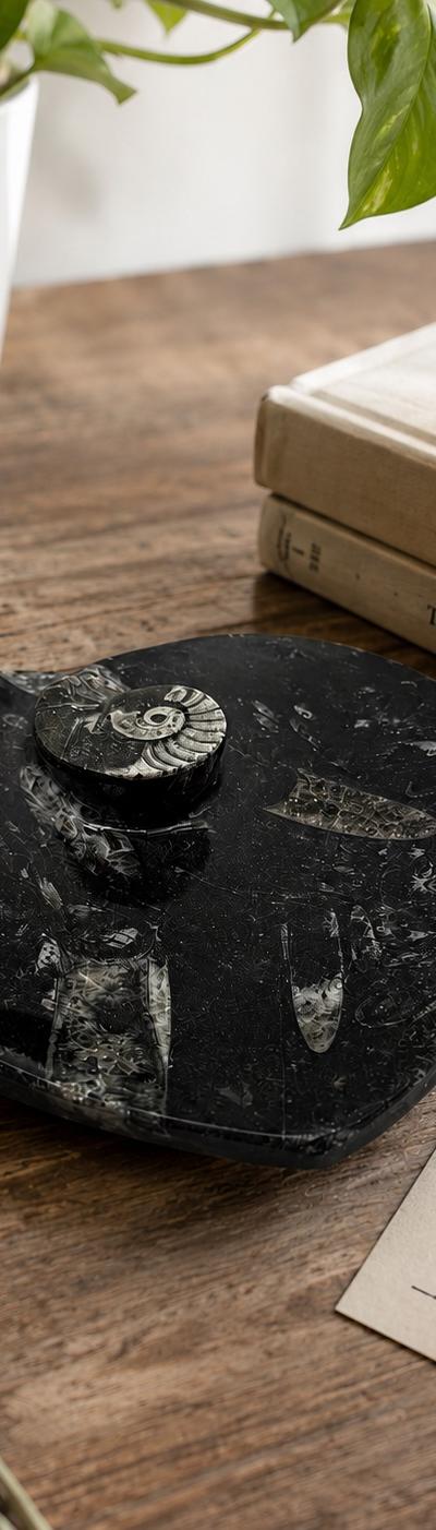Heart Shaped Ammonite & Orthoceras Fossil Dish – 6.5” Fossil Trinket Tray – Stone Jewelry Dish – Fossil Key Holder – Natural Fossil Home Decor